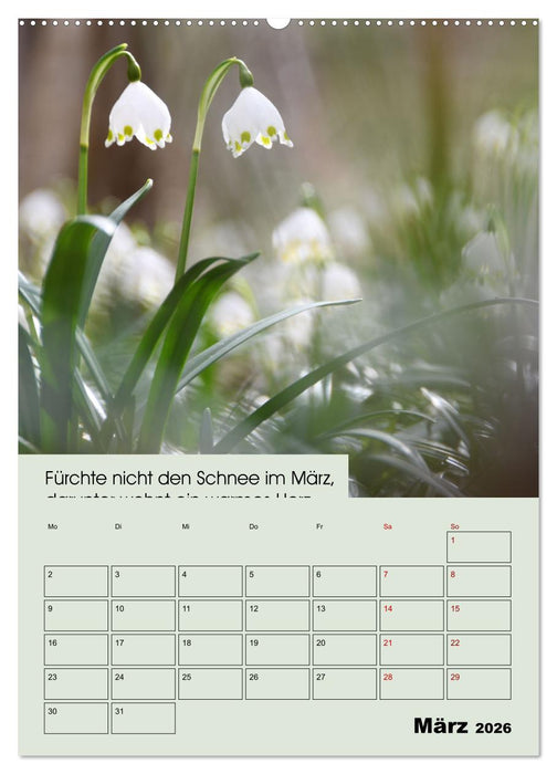 Wetter-Regeln der Bauern (CALVENDO Wandkalender 2026)