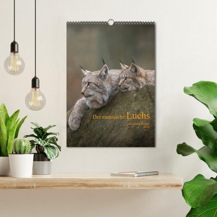 Der eurasische Luchs (CALVENDO Wandkalender 2026)