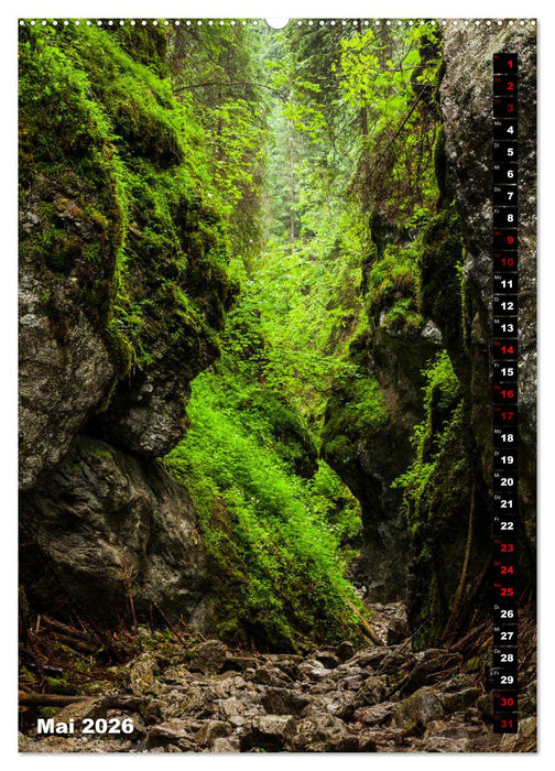 Impressionen aus der Tatra (CALVENDO Premium Wandkalender 2026)