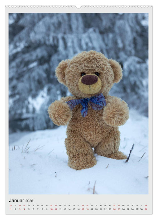 Travelling Teddy in Europa (CALVENDO Premium Wandkalender 2026)
