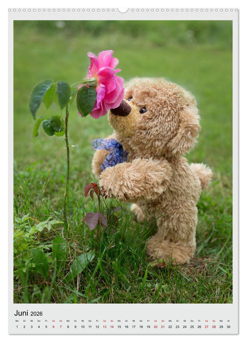 Travelling Teddy in Europa (CALVENDO Premium Wandkalender 2026)