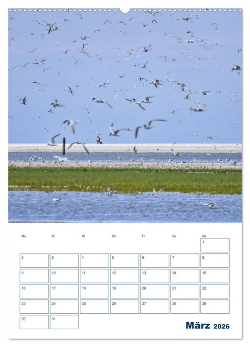 Texel - Momente die verzaubern (CALVENDO Wandkalender 2026)