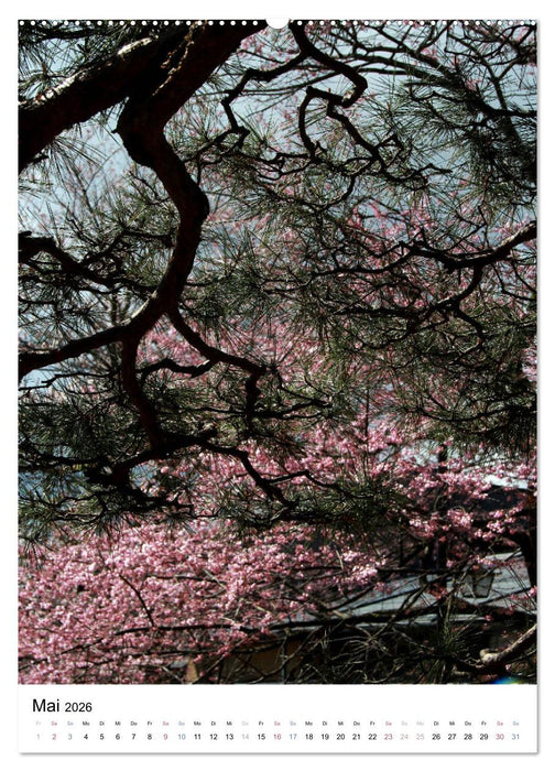 Japan - Kirschblüten (CALVENDO Premium Wandkalender 2026)