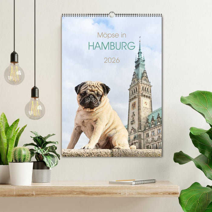 Möpse in Hamburg (CALVENDO Wandkalender 2026)