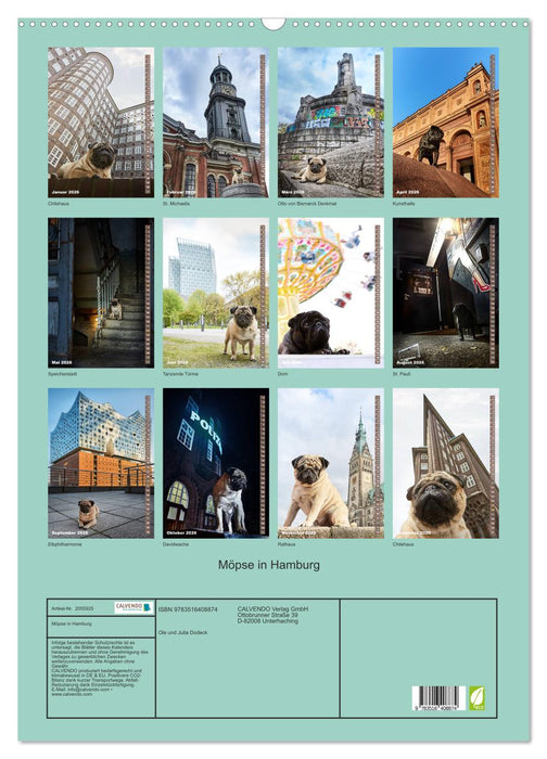 Möpse in Hamburg (CALVENDO Wandkalender 2026)