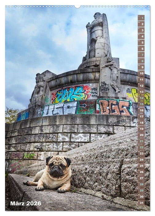 Möpse in Hamburg (CALVENDO Wandkalender 2026)