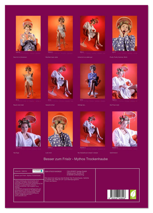 Besser zum Frisör - Mythos Trockenhaube (CALVENDO Premium Wandkalender 2026)