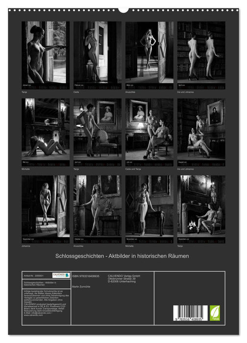 Schlossgeschichten - Aktbilder in historischen Räumen (CALVENDO Premium Wandkalender 2026)