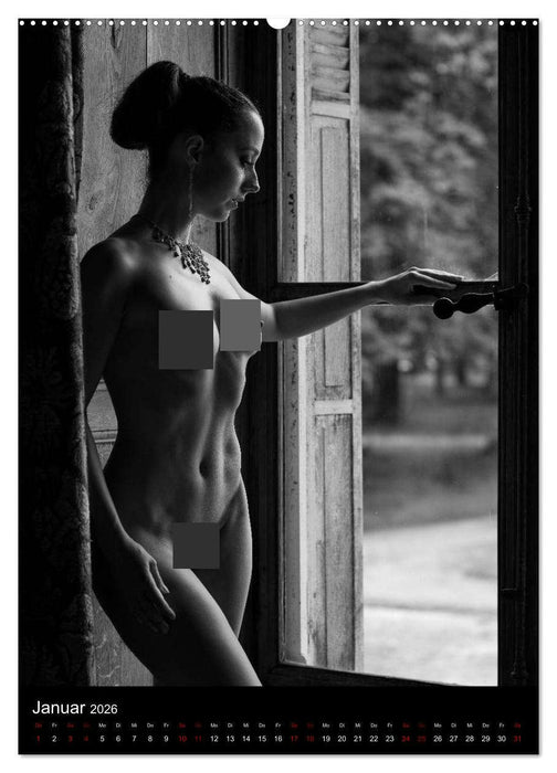 Schlossgeschichten - Aktbilder in historischen Räumen (CALVENDO Premium Wandkalender 2026)