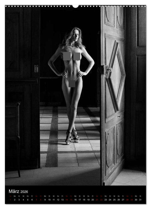 Schlossgeschichten - Aktbilder in historischen Räumen (CALVENDO Premium Wandkalender 2026)