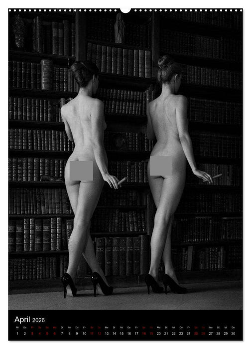 Schlossgeschichten - Aktbilder in historischen Räumen (CALVENDO Premium Wandkalender 2026)