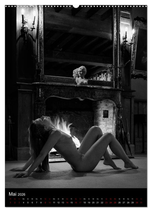 Schlossgeschichten - Aktbilder in historischen Räumen (CALVENDO Premium Wandkalender 2026)