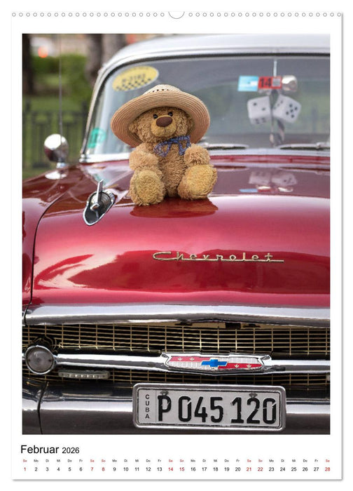 Travelling Teddy Kuba Edition 2026 (CALVENDO Wandkalender 2026)