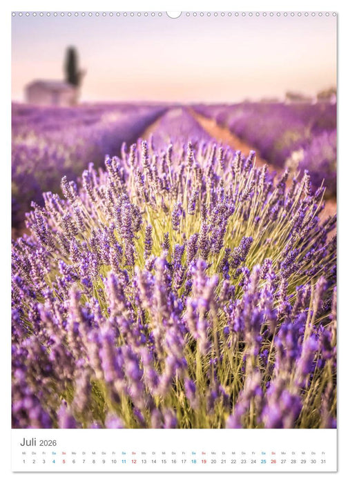 Provence im Licht (CALVENDO Premium Wandkalender 2026)