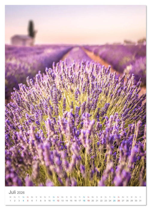 Provence im Licht (CALVENDO Premium Wandkalender 2026)