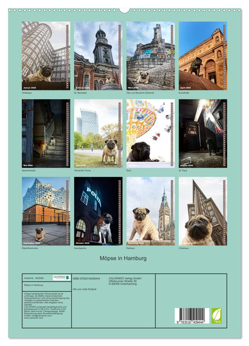 Möpse in Hamburg (CALVENDO Premium Wandkalender 2026)