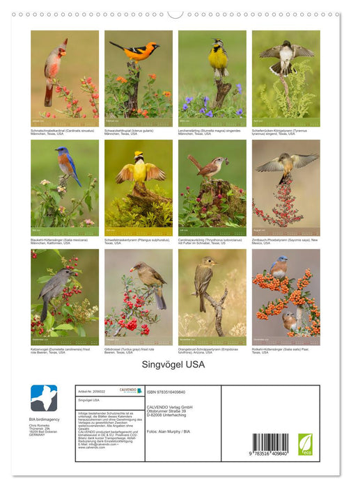 Singvögel USA (CALVENDO Premium Wandkalender 2026)