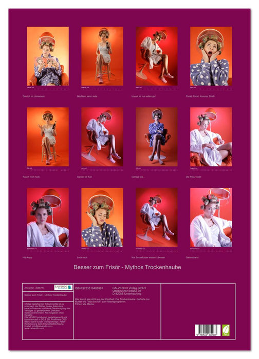 Besser zum Frisör - Mythos Trockenhaube (CALVENDO Wandkalender 2026)