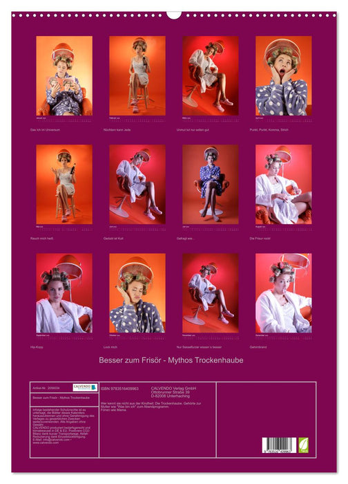Besser zum Frisör - Mythos Trockenhaube (CALVENDO Wandkalender 2026)