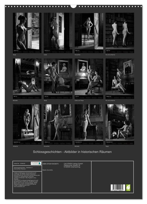 Schlossgeschichten - Aktbilder in historischen Räumen (CALVENDO Wandkalender 2026)