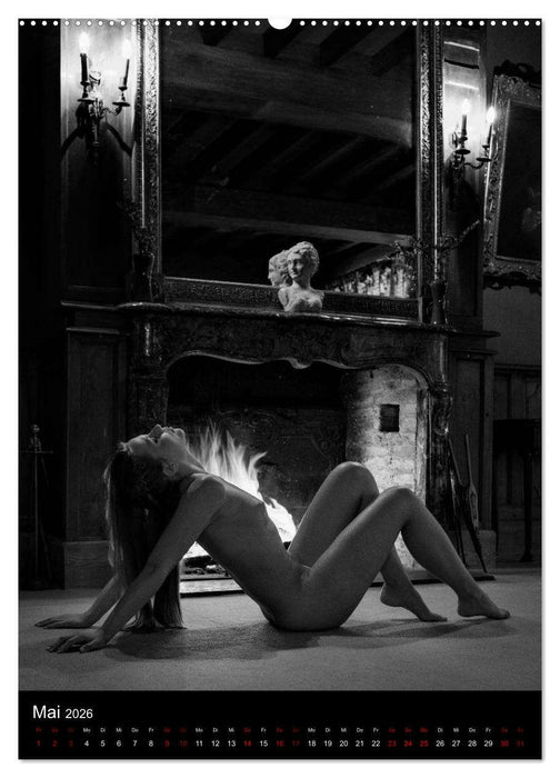 Schlossgeschichten - Aktbilder in historischen Räumen (CALVENDO Wandkalender 2026)