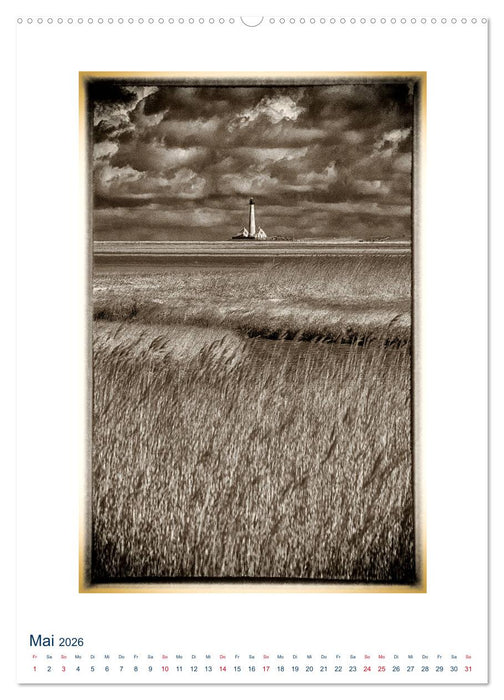 Nordseebrise - Bezauberndes Nordfriesland (CALVENDO Premium Wandkalender 2026)