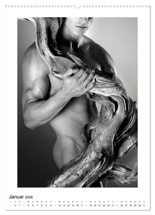 Männer ... und ihre Wurzeln (CALVENDO Premium Wandkalender 2026)