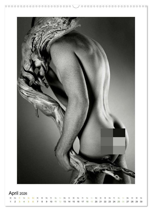 Männer ... und ihre Wurzeln (CALVENDO Premium Wandkalender 2026)