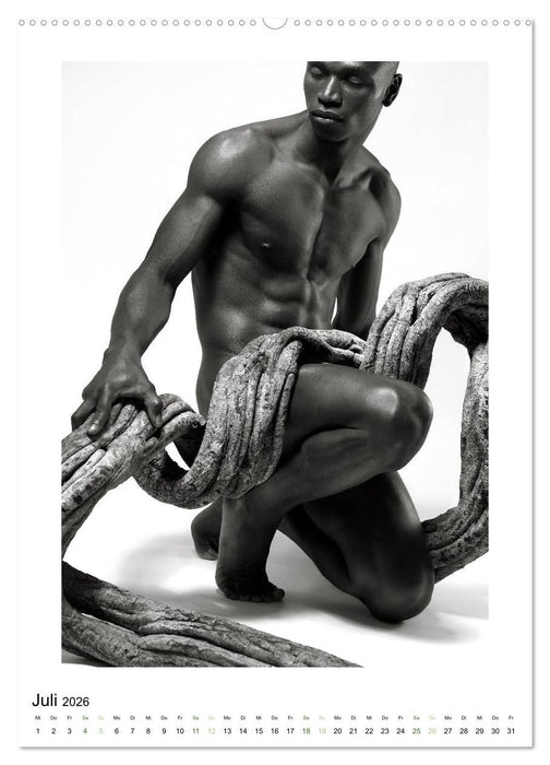 Männer ... und ihre Wurzeln (CALVENDO Premium Wandkalender 2026)