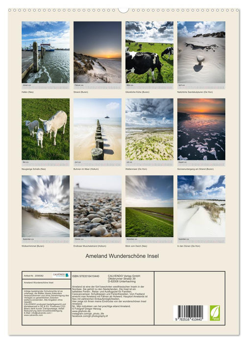 Ameland Wunderschöne Insel (CALVENDO Premium Wandkalender 2026)