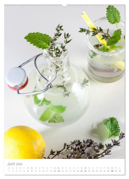 Erfrischendes Vitaminwasser (CALVENDO Premium Wandkalender 2026)