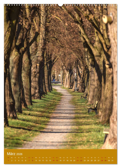 Kitzingen im Hochformat (CALVENDO Premium Wandkalender 2026)