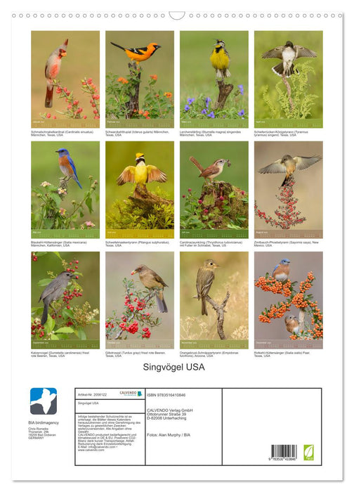 Singvögel USA (CALVENDO Wandkalender 2026)