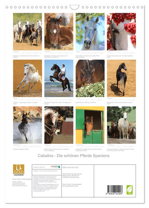 Caballos - Die schönen Pferde Spaniens (CALVENDO Wandkalender 2026)