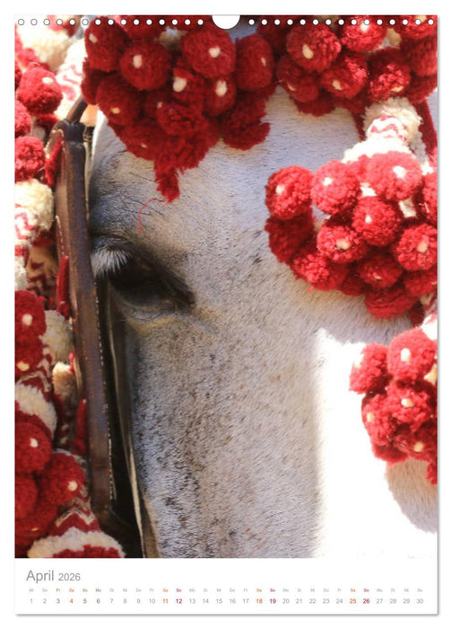 Caballos - Die schönen Pferde Spaniens (CALVENDO Wandkalender 2026)