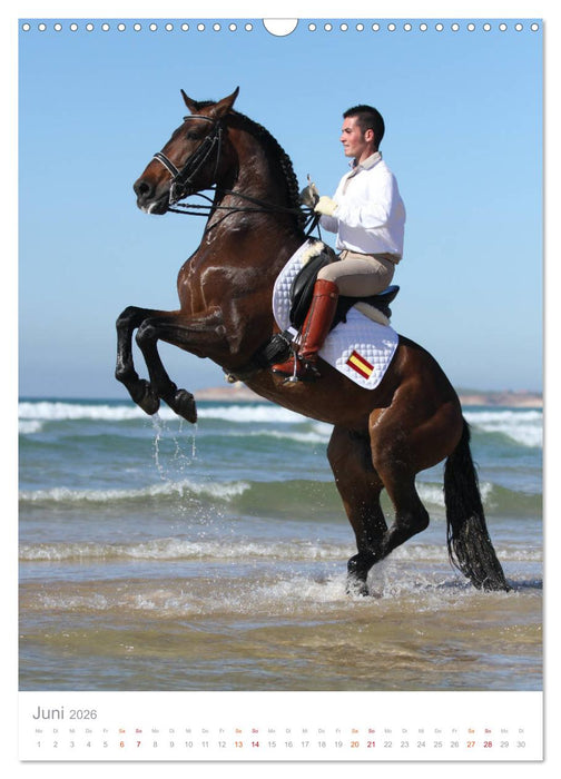 Caballos - Die schönen Pferde Spaniens (CALVENDO Wandkalender 2026)