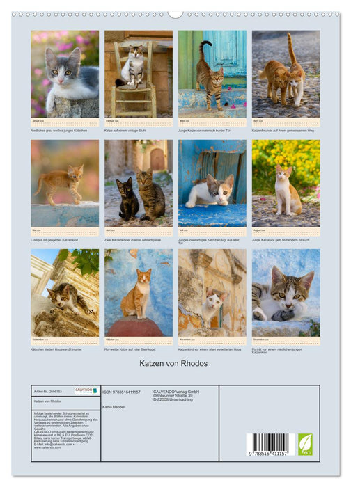 Katzen von Rhodos (CALVENDO Premium Wandkalender 2026)