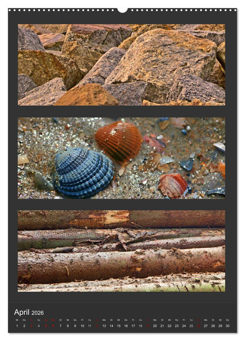 Naturfarben entdecken (CALVENDO Premium Wandkalender 2026)