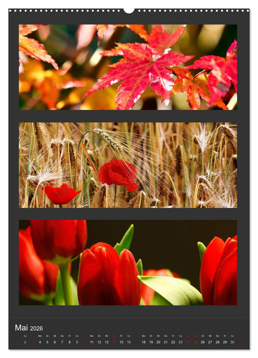 Naturfarben entdecken (CALVENDO Premium Wandkalender 2026)