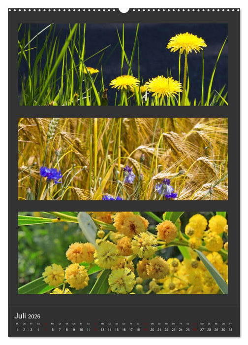 Naturfarben entdecken (CALVENDO Premium Wandkalender 2026)