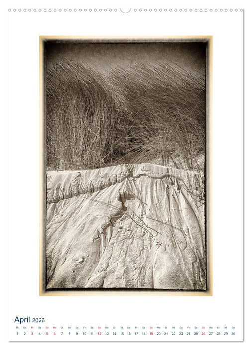 Nordseebrise - Bezauberndes Nordfriesland (CALVENDO Wandkalender 2026)