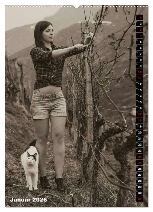 Weinbaukalender 2026 (CALVENDO Premium Wandkalender 2026)