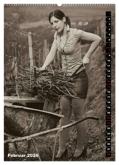 Weinbaukalender 2026 (CALVENDO Premium Wandkalender 2026)