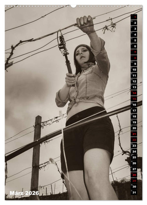 Weinbaukalender 2026 (CALVENDO Premium Wandkalender 2026)