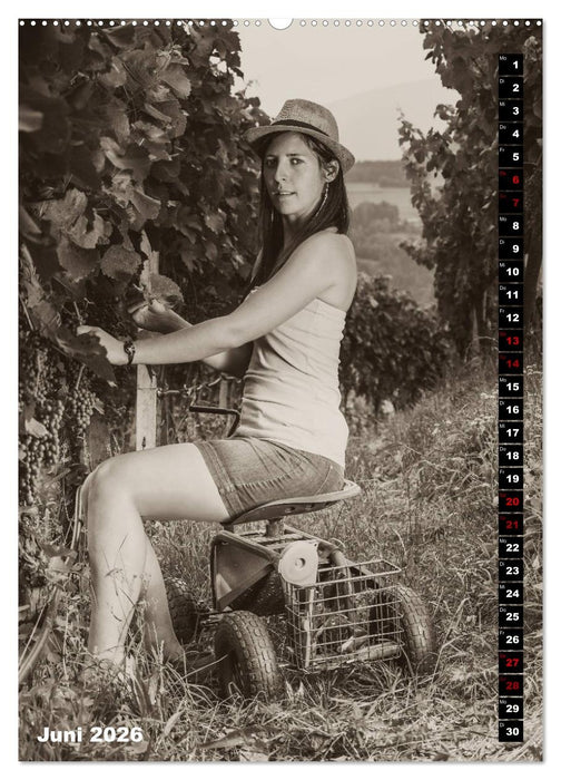 Weinbaukalender 2026 (CALVENDO Premium Wandkalender 2026)