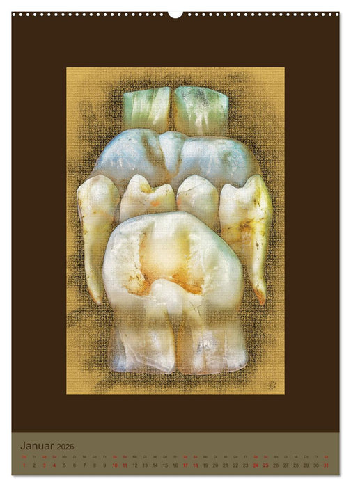 Zähne auf Leinwand (CALVENDO Premium Wandkalender 2026)