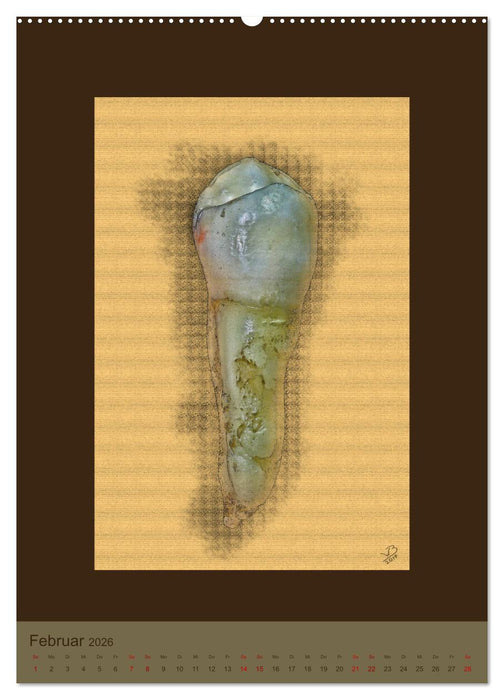 Zähne auf Leinwand (CALVENDO Premium Wandkalender 2026)