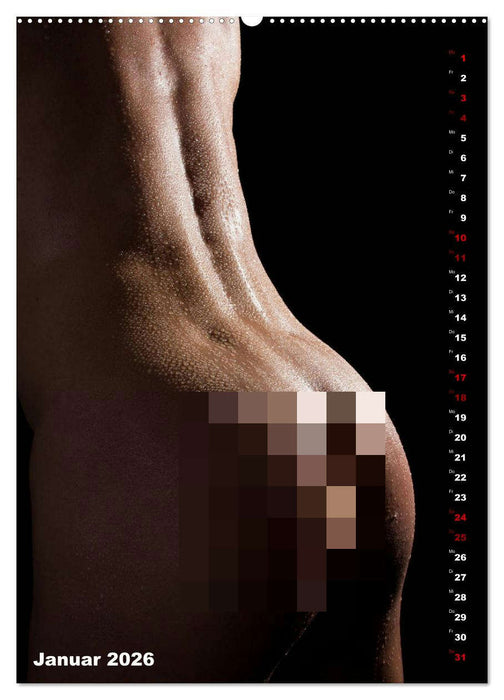 Andro~Po~sophisches (CALVENDO Wandkalender 2026)