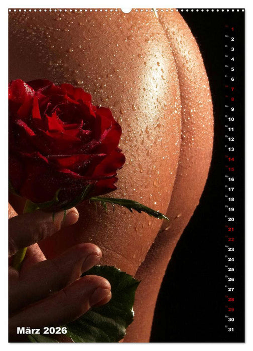 Andro~Po~sophisches (CALVENDO Wandkalender 2026)