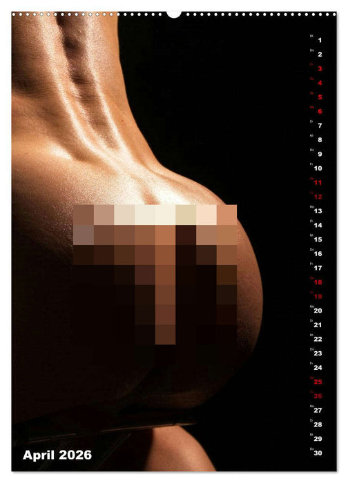 Andro~Po~sophisches (CALVENDO Wandkalender 2026)